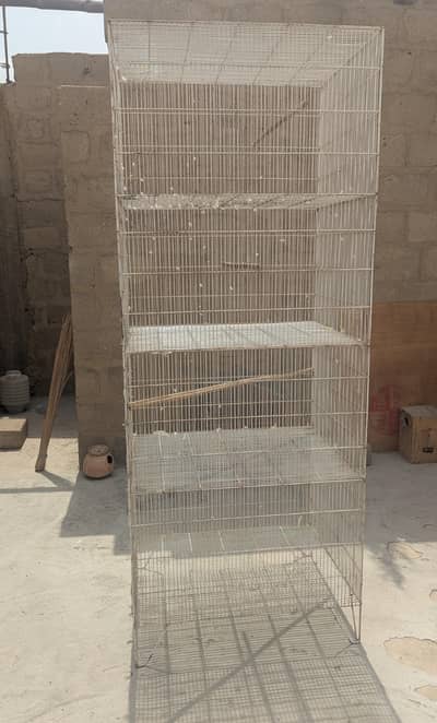 cage/ Pinjra