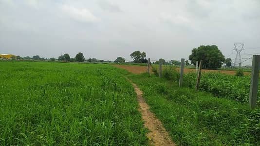 320 Kanal Land For Sale.