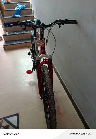 japanies cycle