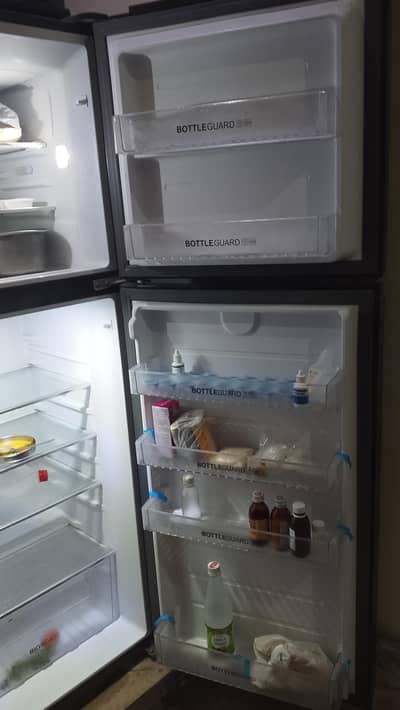 frieg 4 sel