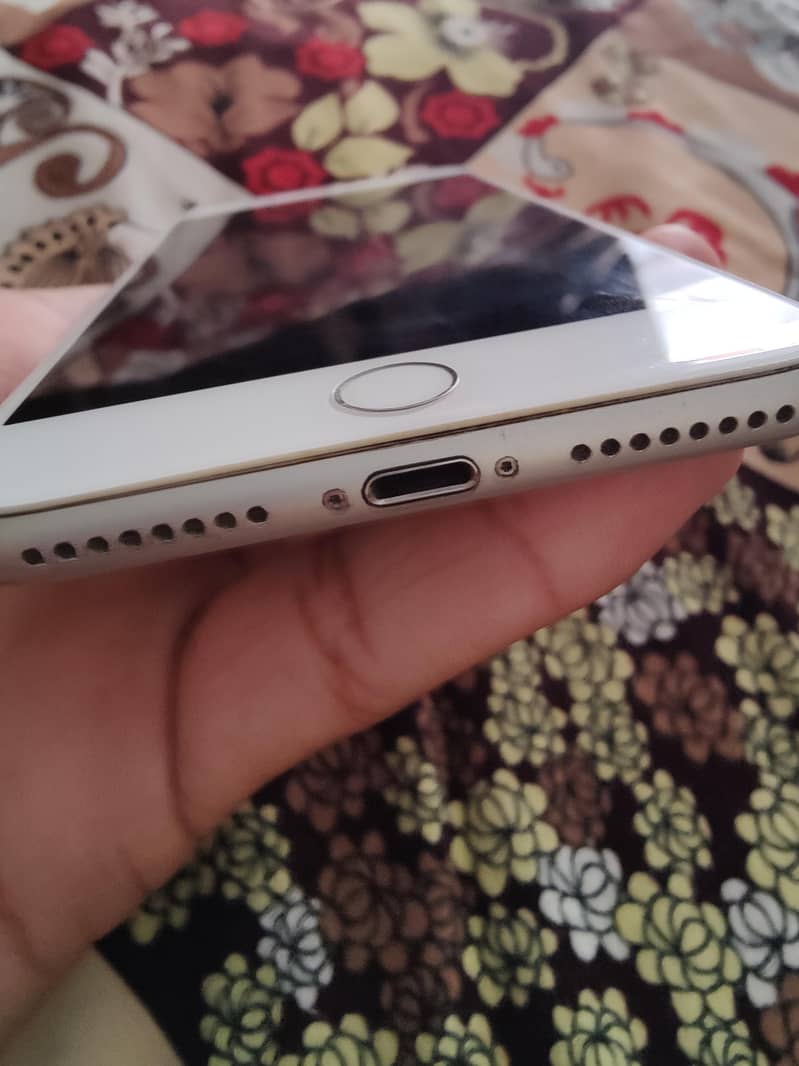 Apple iPhone 8 Plus 3