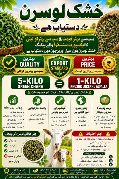Lucern (Dry alfalfa Hay) Export bale packing