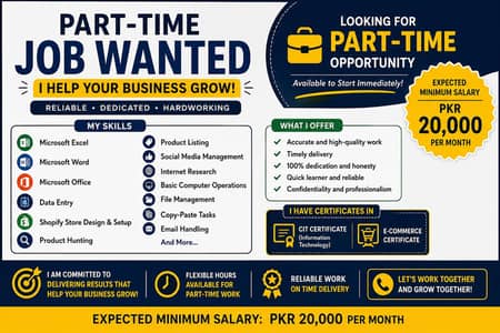 Part-Time Virtual Assistant | MS Office | Shopify | Data Entry