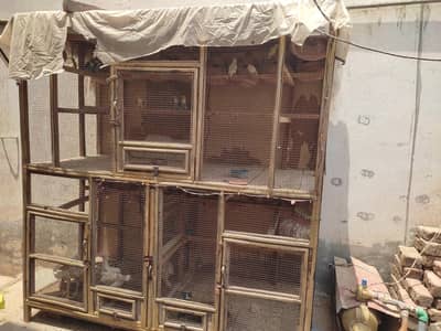 Wood cage kiker ka bana hy best for lovebirds and hen pegon