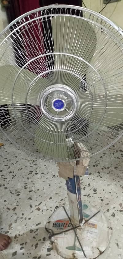 wahid podestal fan . (Cooper )Size 24.