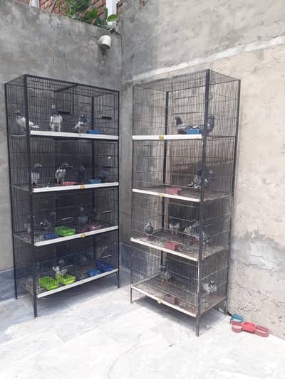 for sale contact #03084749748