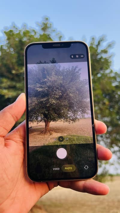 Apple iPhone 12 Pro Max