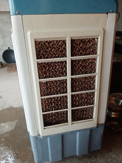 solar cooler 12 watt