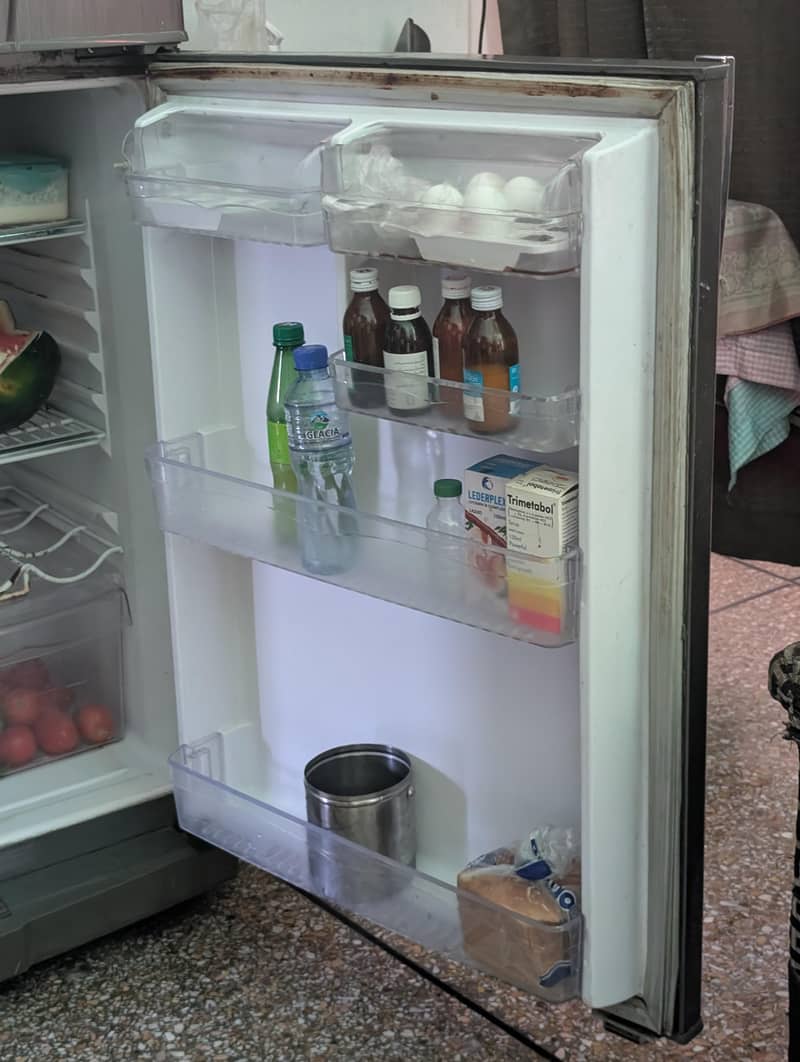 waves fridge 1