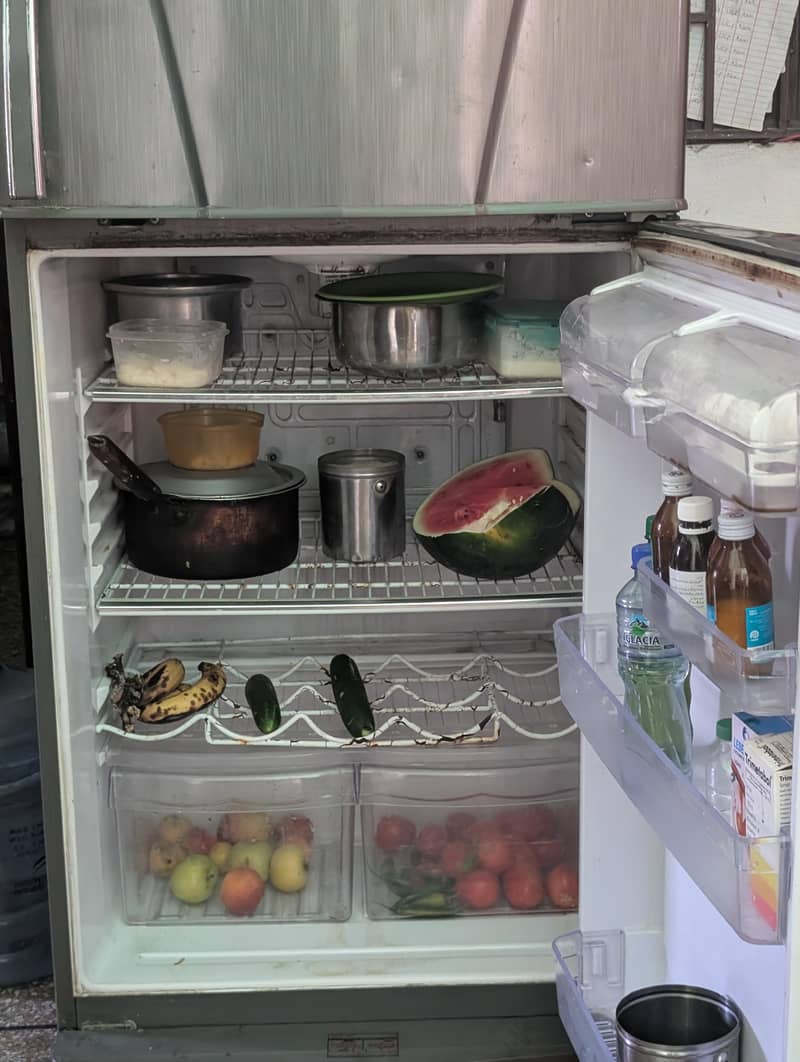 waves fridge 2