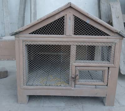 birds house