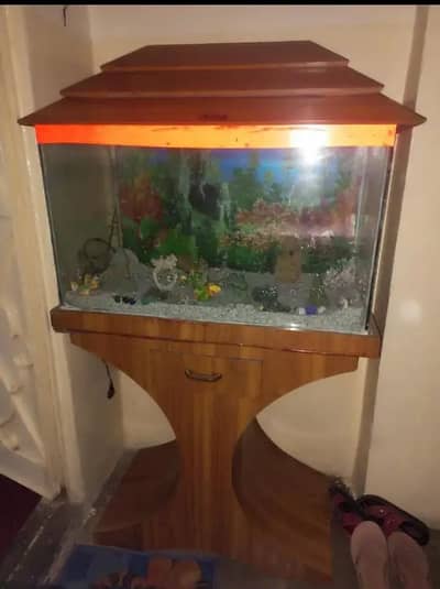 fish aquarium for sale