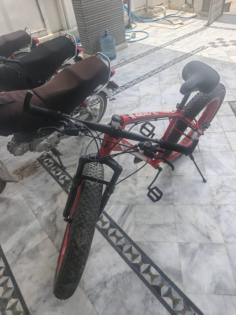 new cycle 1