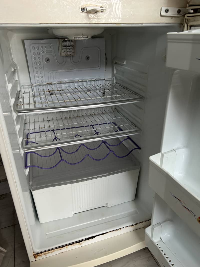 Waves Fridge 10