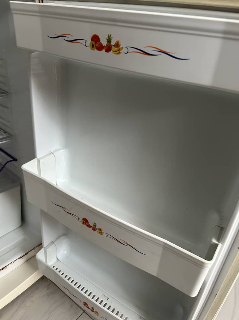 Waves Fridge 11