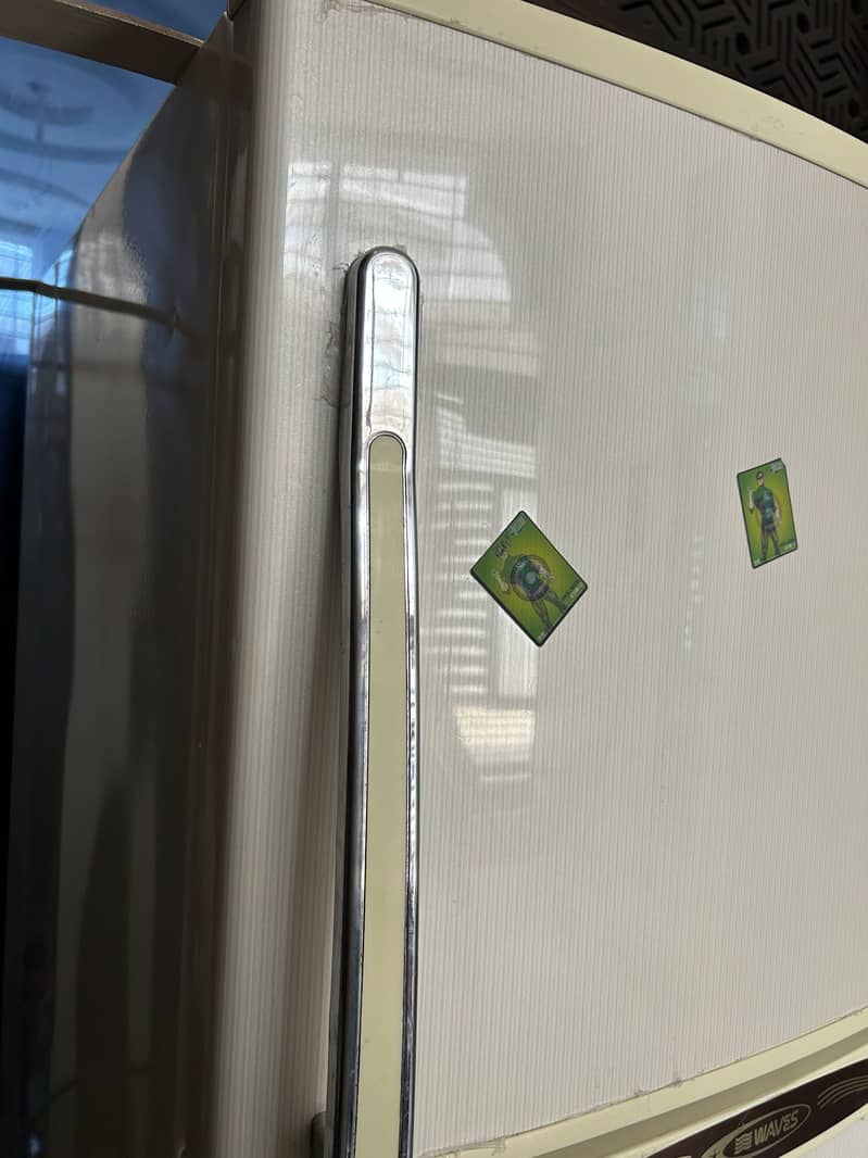 Waves Fridge 12