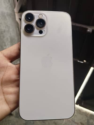 Apple iPhone 13 Pro Max