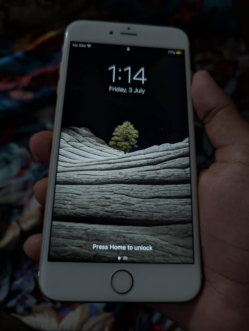 iPhone 6s Plus 1
