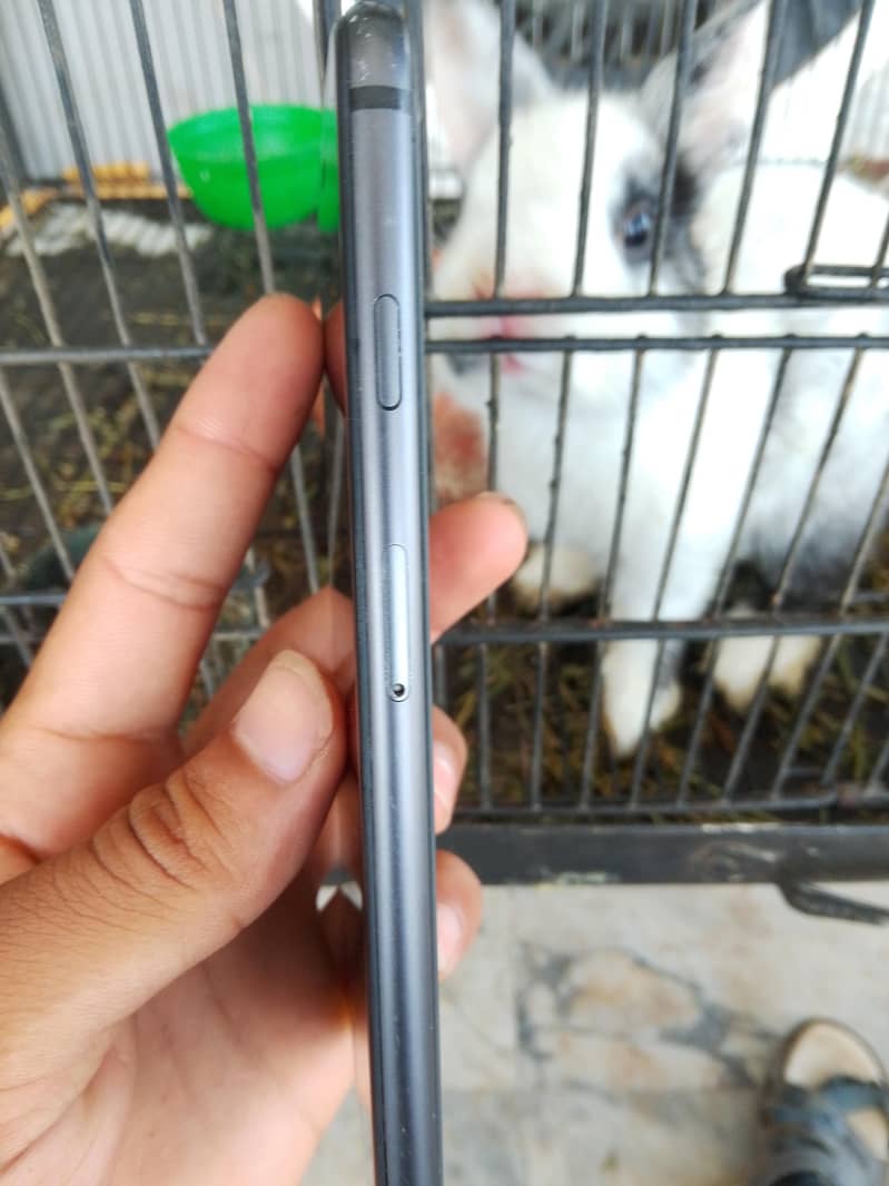 Apple iPhone 8 1