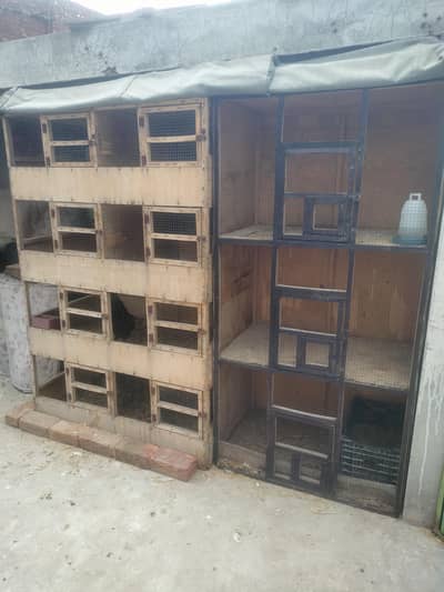 cage for sale big size
