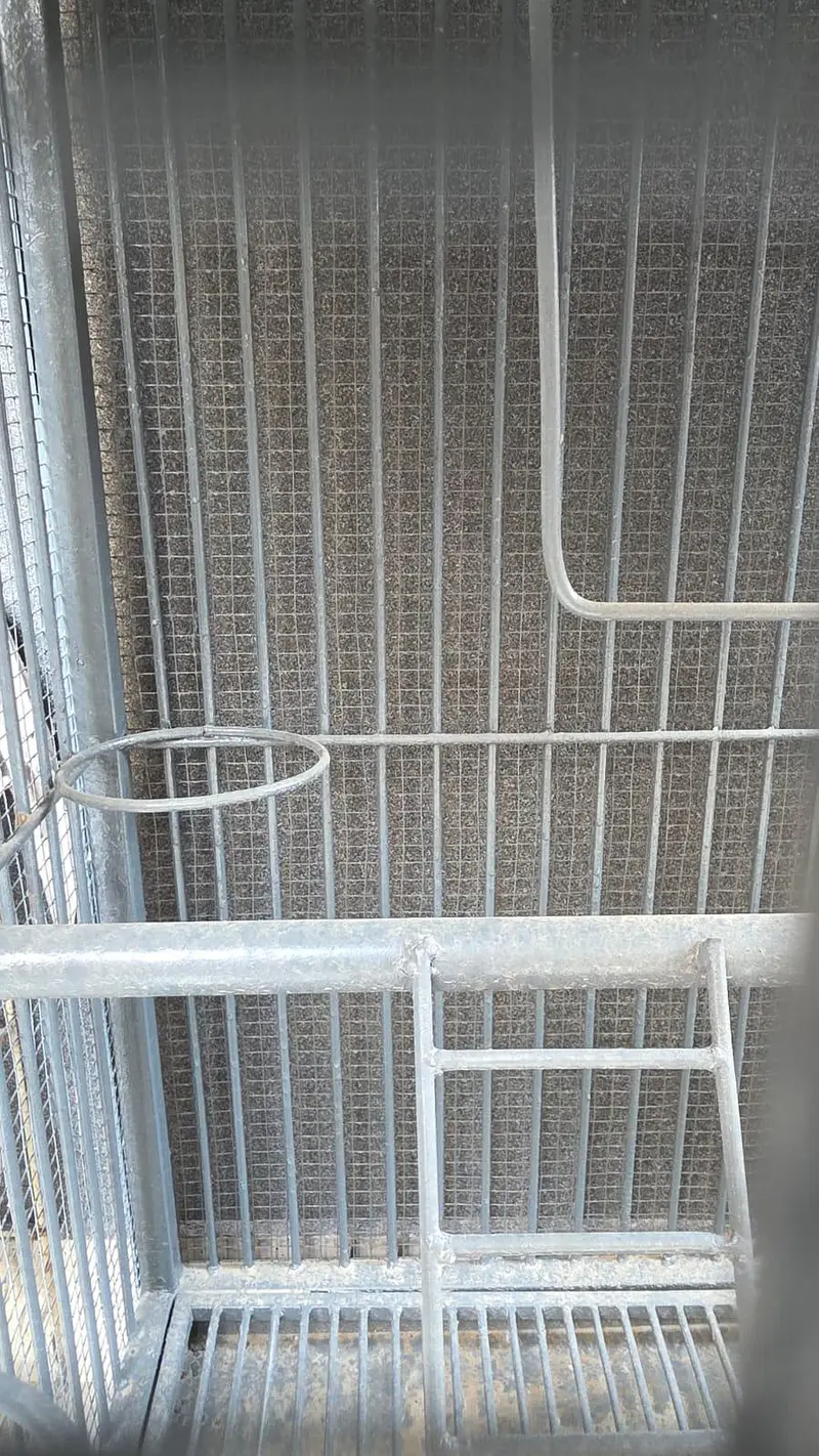 Heavy Duty Pure Iron Bird & Pet Cage 2 Compartments Strong Iron Build — photo 5