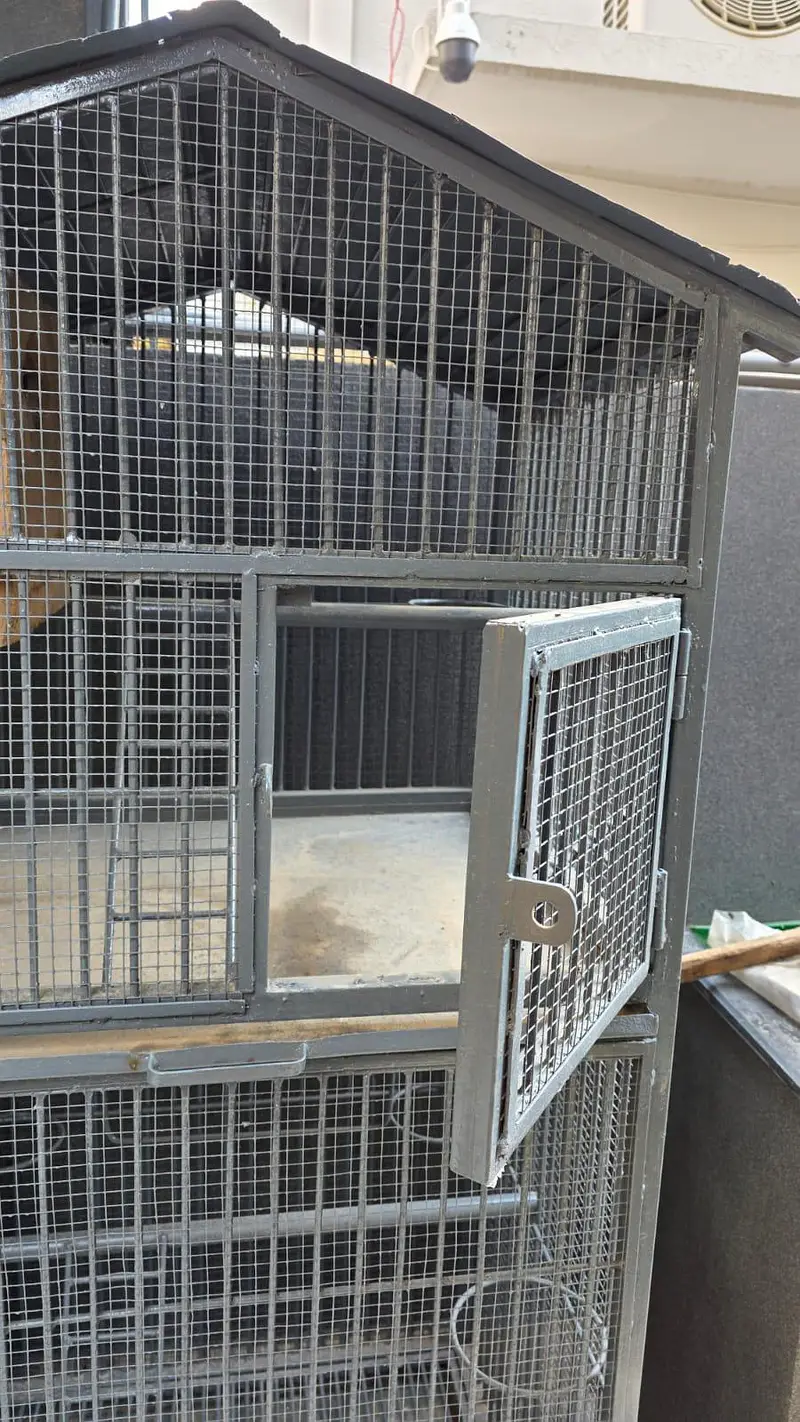 Heavy Duty Pure Iron Bird & Pet Cage 2 Compartments Strong Iron Build — photo 7