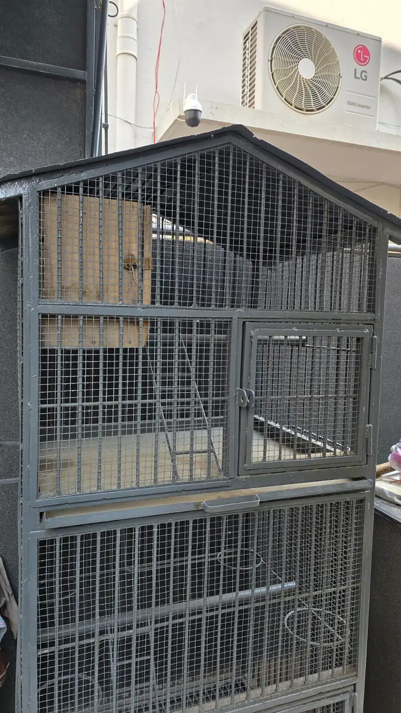 Heavy Duty Pure Iron Bird & Pet Cage 2 Compartments Strong Iron Build — photo 8