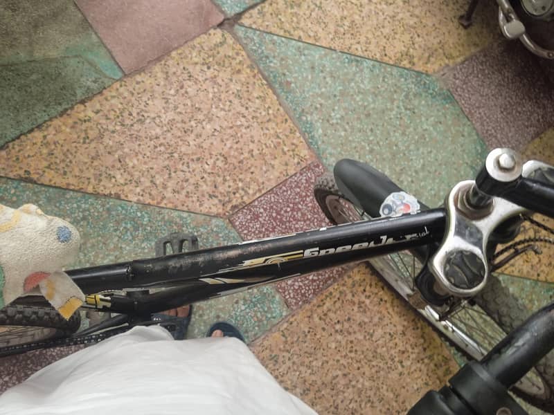 racing cycle 1