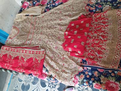 bridle dress