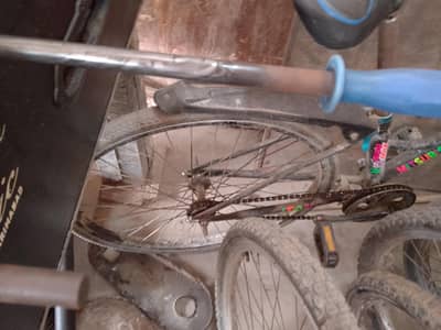 japani cycle
