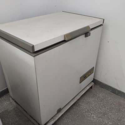 Philips Single Door Chest Freezer – Excellent Working Condition