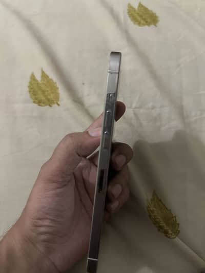Apple iPhone