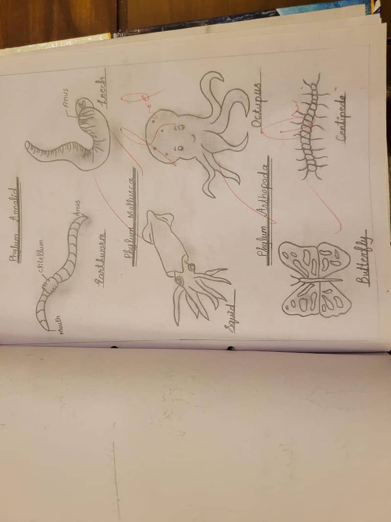 Practical Notebooks for Intermediate 3