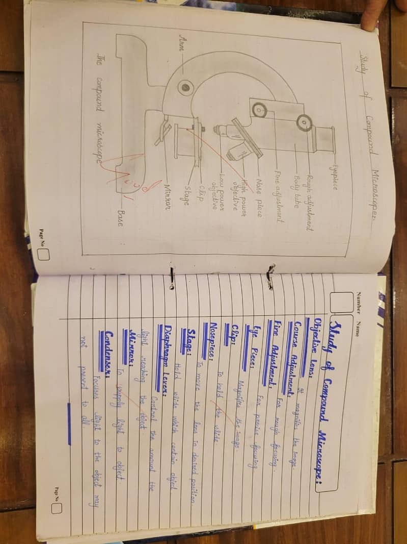 Practical Notebooks for Intermediate 6