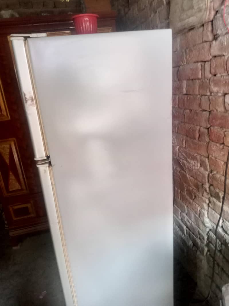 medium size 3