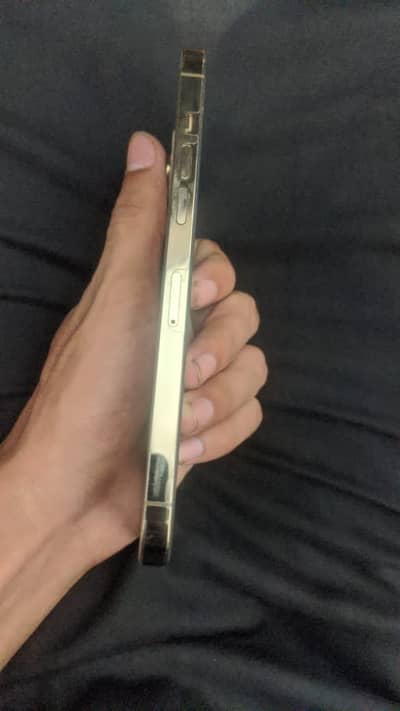 Apple iPhone 12 Pro Max