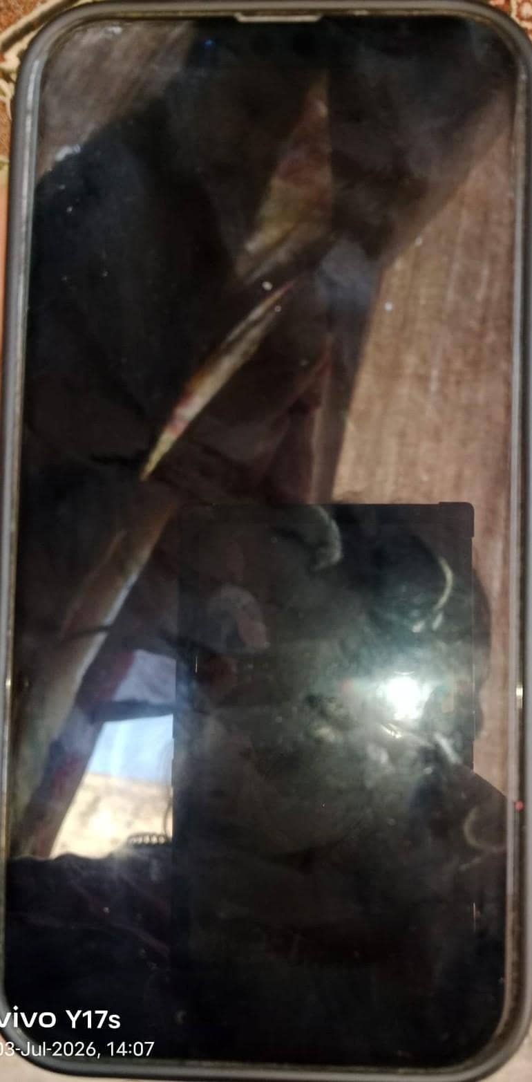 Apple iPhone 13 Pro 0