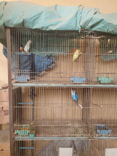 Cage for brids