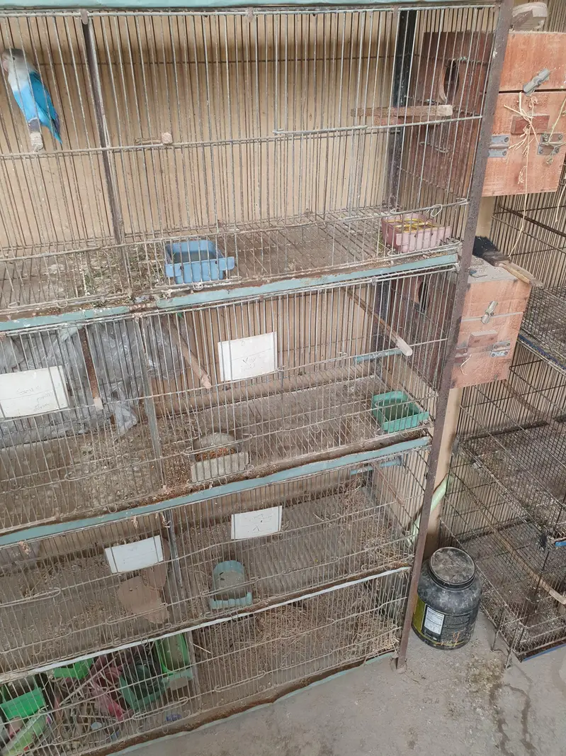 Cage for brids — photo 4