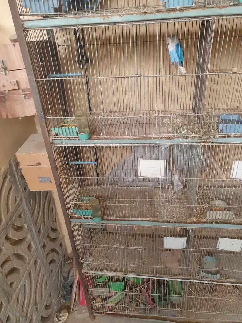 Cage for brids — photo 5