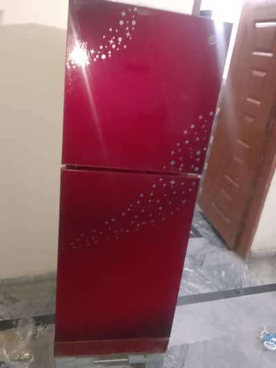 fridge medium size