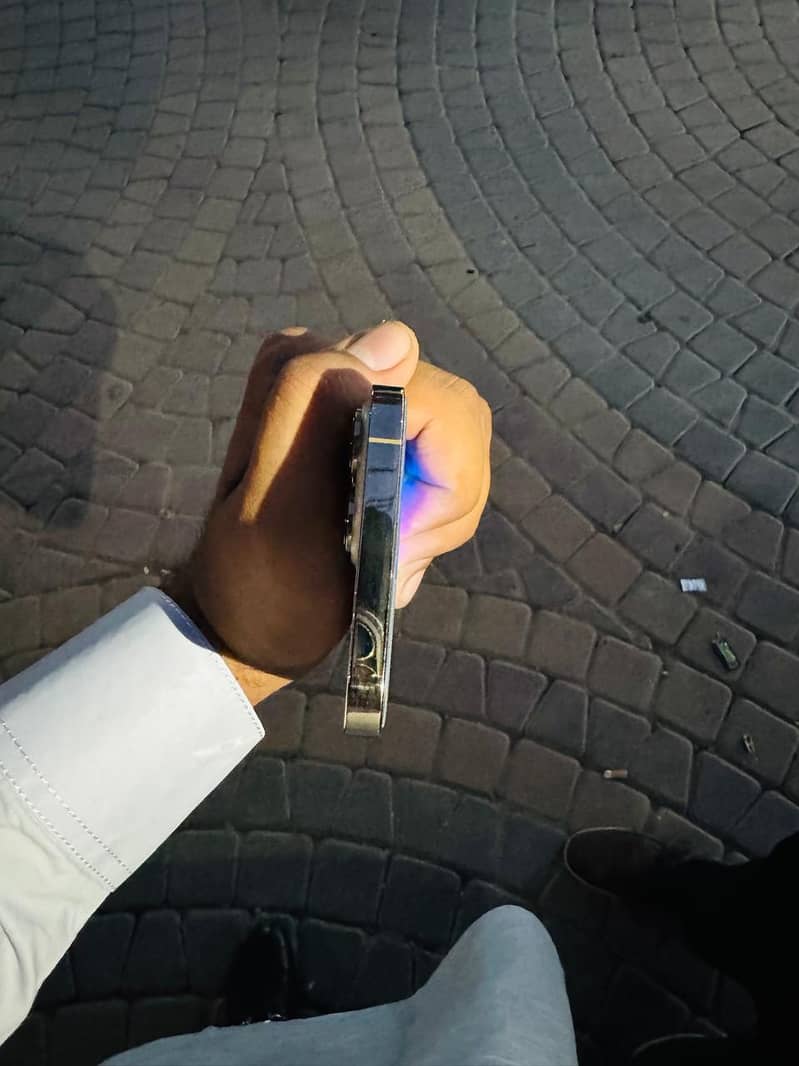 iPhone 13 Pro Max 2