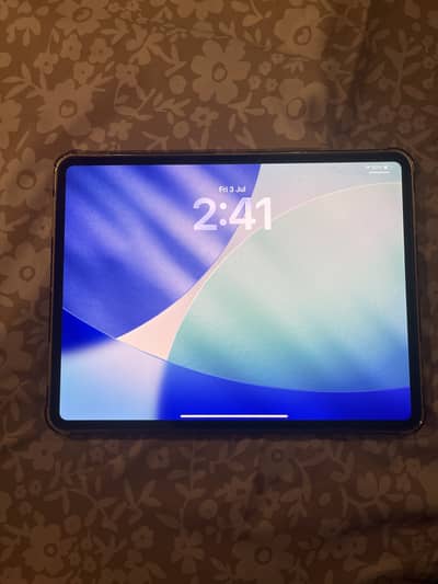 Apple iPad Pro M4 13 inch