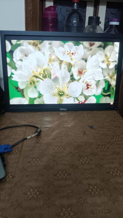 Dell LCD Monitor 21 Inch