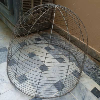 cage Pinjrii