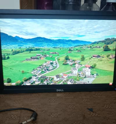 Dell LCD Monitor 21 Inch