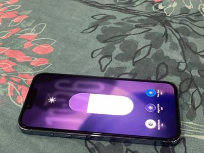 Apple iPhone 13 Pro pta approved