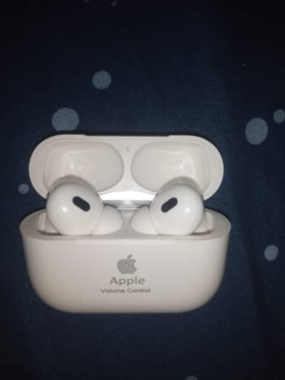 Apple earbuds
