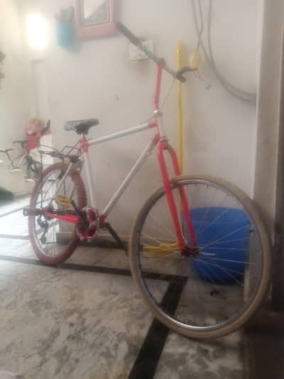 phonic bicycle