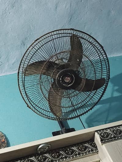 Royal fan